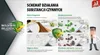 Jan Niezbędny Tücher auf einer Rolle 50 Stück Silberionen Produktbild-Vorschau 4