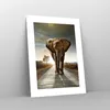 Poster - Poster ohne Rahmen - Elefant Straße Landschaft - Produktbild-Vorschau 7