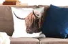 MuchoWow® Zierkissen Sofakissen Wohnzimmer Dekokissen 50x50 Produktbild-Vorschau 2