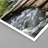 Poster - Poster ohne Rahmen - Park natur grün bäume - Produktbild-Vorschau 2