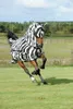 Bucas Fliegendecke Buzz-Off Full Neck Zebra Produktbild-Vorschau 7