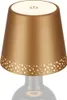 LED Akku-Flaschenlicht, gold-matt,1xLED-Modul/2,6W Produktbild-Vorschau 1