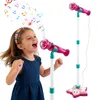 Leerzaam speelgoed voor kinderen: een muziekmicrofoon met Productafbeelding-voorbeeld 13