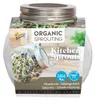 Artikelbild 1 von 'Sprossenglas mit BIO Keimsprossen Scharfe Mischung ' Produktbild-Vorschau