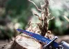 Bosch Expert Tough Wood S 1142 KHM - pílový list - dĺžka: Náhľad obrázku produktu 17