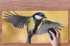 MuchoWow® Schreibtischunterlage Eine fliegende Kohlmeise Produktbild-Vorschau 3