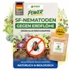 SF Nematoden gegen Erdflöhe - 20 Mio. für 40m² – Mittel Produktbild-Vorschau 1