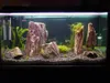 Aquarium Kies Schwarz Basalt 3-5 mm, 2 kg Bodengrund für Produktbild-Vorschau 8