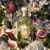 Guerlain Aqua Allegoria Forte Nerolia Vetiver EDP Produktbild-Vorschau 14