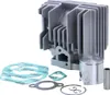 Gruppo termico cilindro ATHENA Big Bore 70CC 45mm per Anteprima dell’immagine prodotto 4