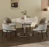 WISFOR set di 2 sedie da pranzo imbottite sedie da pranzo Anteprima dell’immagine prodotto 14