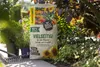 Floragard Organic Soil Versatile 1x50 litrów - Uniwersalna Podgląd zdjęcia produktu 3