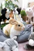 nici plyšový králík ostatní Náhled obrázku produktu 7