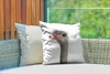 MuchoWow® Outdoor Kissen - Strauß - Tiere - Kinder - Jungen Produktbild-Vorschau 3