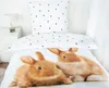 A close-up view of a duvet cover and pillowcase set with a polka dot pattern and a realistic print of two rabbits on the duvet cover. Anteprima dell’immagine prodotto
