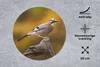 MuchoWow® Mauspad Mousepad Vogel - Zweig - Eichelhäher Produktbild-Vorschau 2
