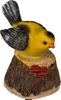 OOTB Bewegungsmelder Vogel mit Tierstimme Produktbild-Vorschau 10