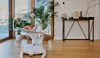 A baby is lying in a baby bouncer in a modern living room with large windows and plants. Anteprima dell’immagine prodotto