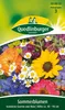 Sommerblumen, Schmücke Garten und Heim Produktbild-Vorschau 5
