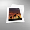 Poster - Poster ohne Rahmen - Giraffe Afrika Sonne Safari - Produktbild-Vorschau 3