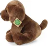Peluche Labrador Retriever 26 Cm Ecologico Anteprima dell’immagine prodotto 4