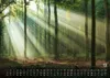 Wald - Erholung für Mensch und Tier - 2027 - Kalender DIN Produktbild-Vorschau 14