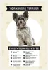 vianmo Holzschild 30x20 cm Yorkshire Terrier Produktbild-Vorschau 1