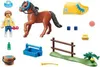 PLAYMOBIL Country 70523 Poney de collection "Welsh Voir les images du produit 16