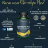 Vegavero Elektrolyte Plus | 120 Kapseln | natürliches Produktbild-Vorschau 3