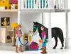 Horse Club Lakeside Pferdehof Anteprima dell’immagine prodotto 11