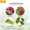 Solabiol® Netzschwefel für 37 Liter Gießwasser - 5 x 15 Produktbild-Vorschau 7