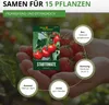 Stabtomaten Harzfeuer F1 Samen - Solanum lycopersicum - Produktbild-Vorschau 3