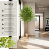 tectake® Künstlicher Ficusbaum Fida verschiedene Größen Produktbild-Vorschau 2