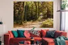 MuchoWow® Poster Waldlehrpfad im Nationalpark Bayerischer Produktbild-Vorschau 2