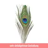 10 Stück Pfauenfedern künstlich - ca. 90-100 cm Produktbild-Vorschau 3
