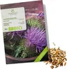 Mariendistel Samen - Heilkräuter Saatgut aus biologischem Produktbild-Vorschau 1