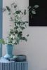 Toraf 10Pcs Eukalyptus Richtige Samen Immergrüner Baum Produktbild-Vorschau 10