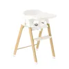 Silla alta para bebés Deryan Luxe – Creciente con el niño – Vista previa de la imagen del producto 5
