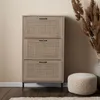 A shoe cabinet with rattan fronts and black metal legs is shown against a light beige wall, with a decorative dried plant arrangement to the right and a textured ottoman in the foreground. Anteprima dell’immagine prodotto