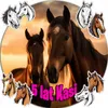 Opłatek Na Tort 20Cm - Koń Horse Dekoracja Urodzinowa + Voir les images du produit 1