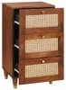 vidaXL Sideboard Braun 40 x 33,5 x 75 cm Massivholz Mango Produktbild-Vorschau 1