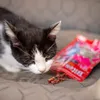 Akinu BITES & FUN Kachní stripsy pamlsek pro kočky 60 g Náhled obrázku produktu 3