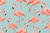 Küchenrückwand Spritzschutz Glas mit Motiv Flamingo Design Produktbild-Vorschau 3