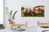 OneMillionCanvasses® - Obrazy na plátně - Prasata - Velké - Náhled obrázku produktu 6