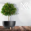 KADAX Pot de fleurs en plastique "Luri", bac à fleurs avec Voir les images du produit 7