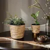 2er Set Blumentopf aus Seegras rund mit Kunststoffeinsatz Produktbild-Vorschau 3