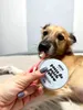 Hunde-Einkaufsset BASIC 3 Produkte | Shampoo + Zahnpasta + Produktbild-Vorschau 4