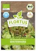 Artikelbild 1 von 'BIO Winterkopfsalat Wintermarie' aus der Kategorie Kopfsalatsamen Produktbild-Vorschau
