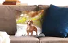MuchoWow® Zierkissen Sofakissen Wohnzimmer Dekokissen 45x45 Produktbild-Vorschau 2