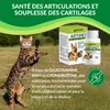 Artipet, complément alimentaire pour les articulations des Voir les images du produit 5